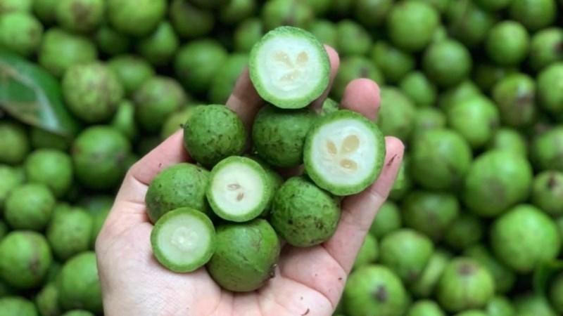 Cua hoàng đế, tôm hùm Alaska... hải sản nhà giàu ế ẩm, giảm giá mạnh