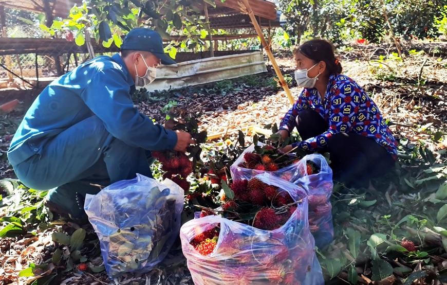 Rưng rưng cảnh bộ đội giúp dân gặt hái dưới nắng chói chang 