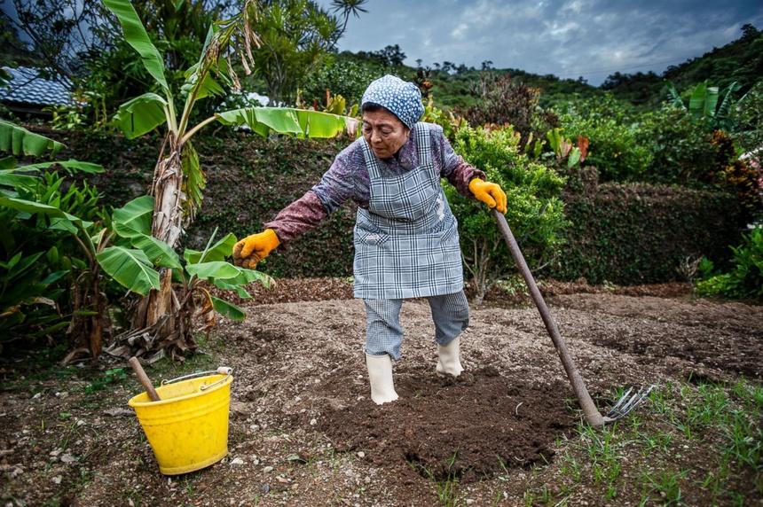 Người dân làng trường thọ ở Nhật ăn gì?