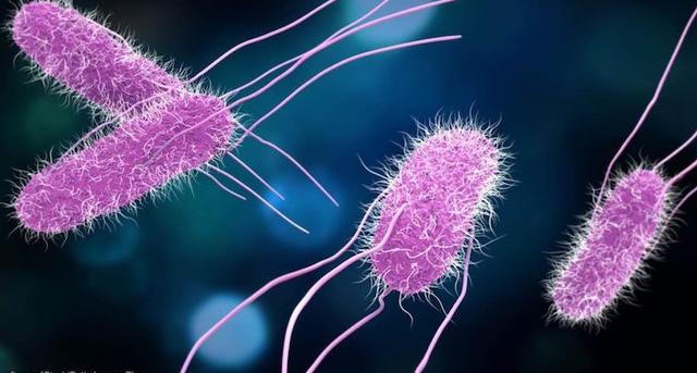 12 lưu ý khi mua, bảo quản và chế biến trứng để bảo đảm sức khoẻ - Ảnh 5.