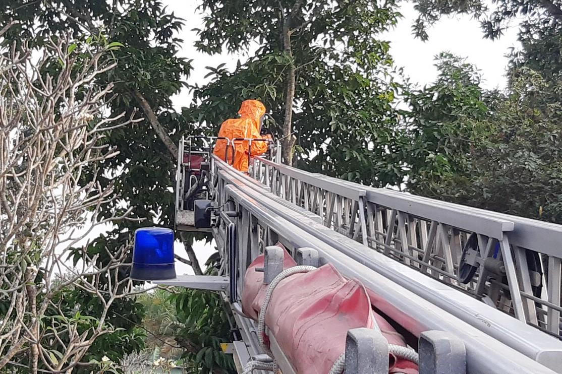 Cảnh sát dùng xe thang bắt hơn 10 tổ ong vò vẽ ở TP Thủ Đức