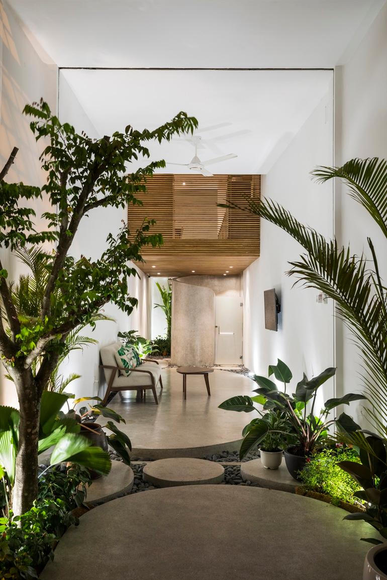 Ngôi nhà rộng 3m nhưng có tới 4 vườn cây mini ở TP HCM