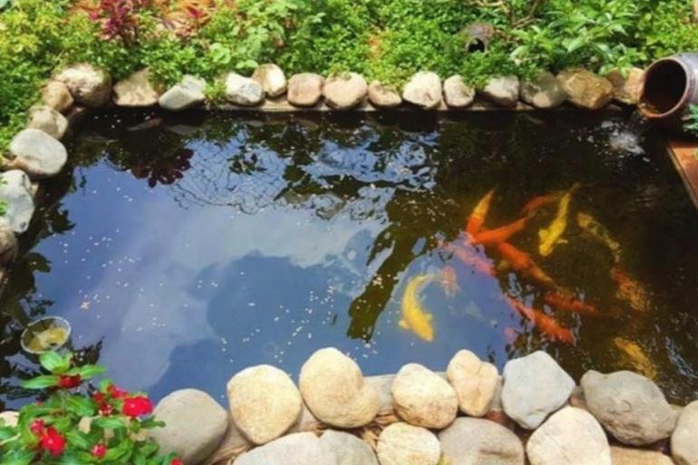 Bé gái 3 tuổi tử vong thương tâm trong bể cá cảnh của gia đình