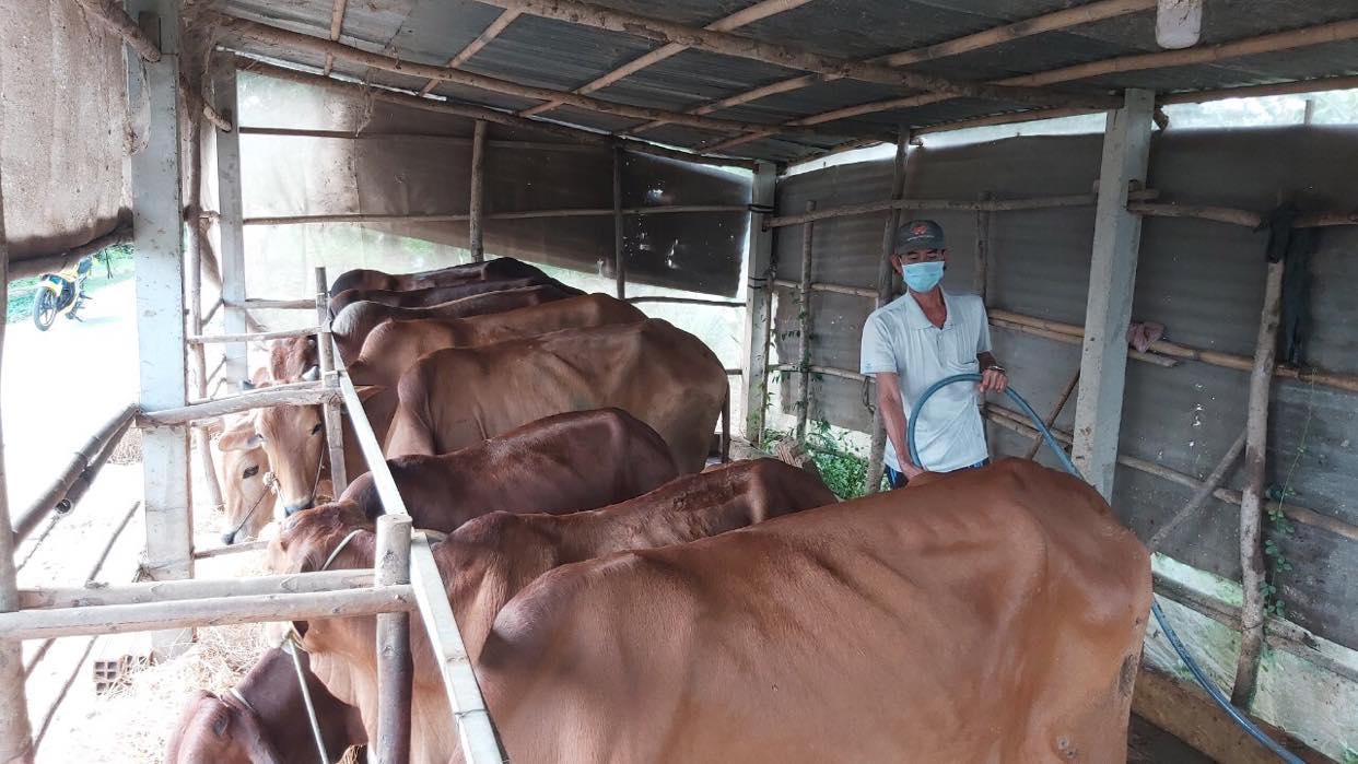 Cuộc hành trình ý nghĩa của tín dụng chính sách ở Sóc Trăng