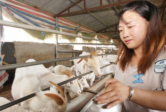 Cô gái xinh đẹp cãi cha mẹ theo chàng trai bại liệt 16 năm trước giờ ra sao?