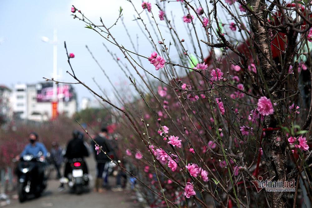 Nghỉ Tết Nguyên đán 2022 từ 27 Tết, có thể được nhận 4 khoản tiền