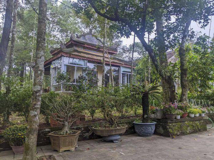 Chuẩn bị tang lễ 'im lặng' của thiền sư Thích Nhất Hạnh 