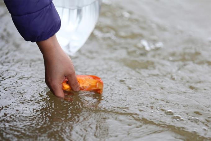 Nghi thức cúng ông Công ông Táo