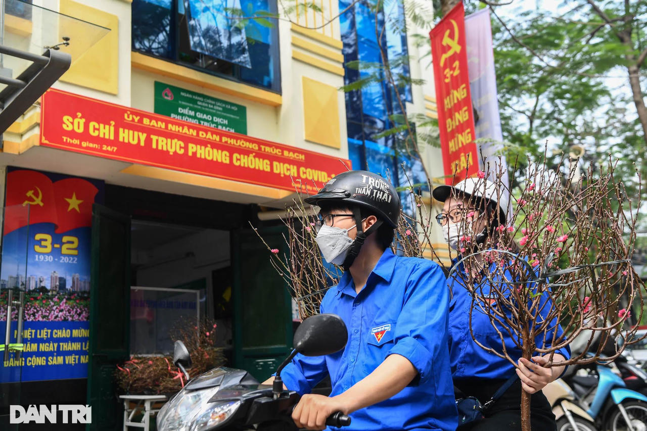 Tặng đào Tết tận nhà, thả cá chép thay cho các F0 đang cách ly ở Hà Nội