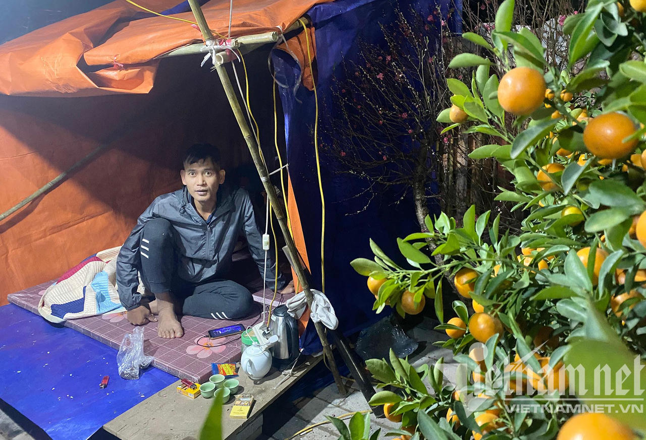 Đào quất ế, dân buôn cả đêm bám vỉa hè chịu cảnh giá rét