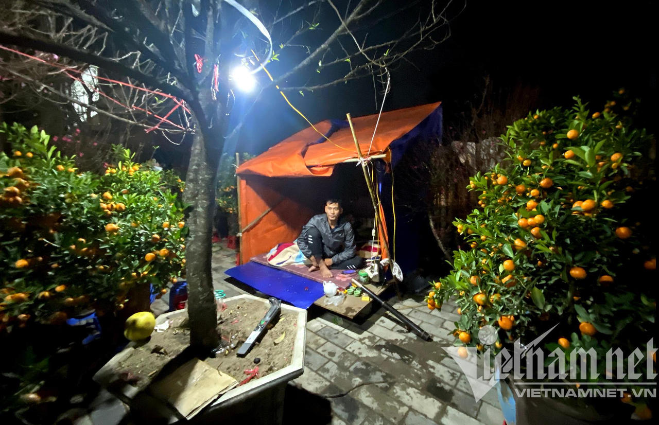 Đào quất ế, dân buôn cả đêm bám vỉa hè chịu cảnh giá rét