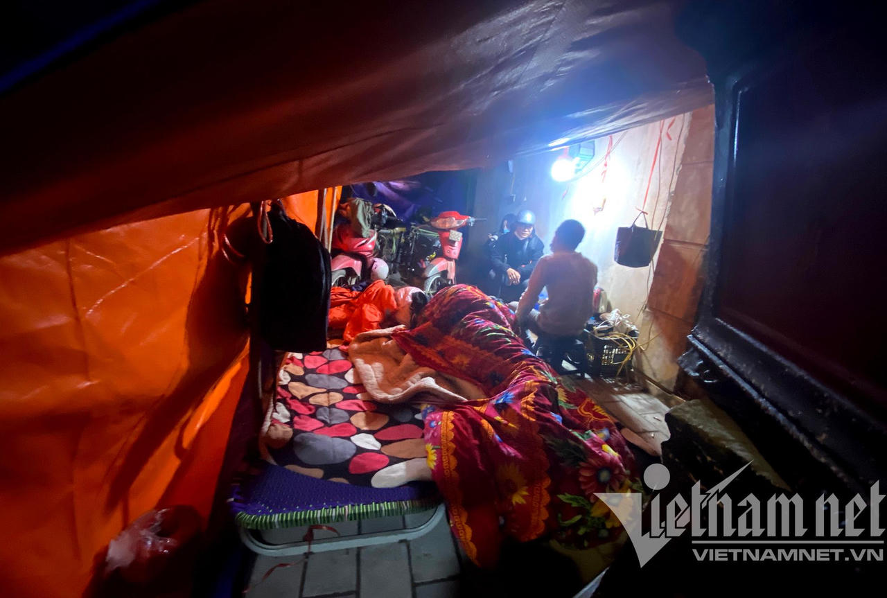 Đào quất ế, dân buôn cả đêm bám vỉa hè chịu cảnh giá rét