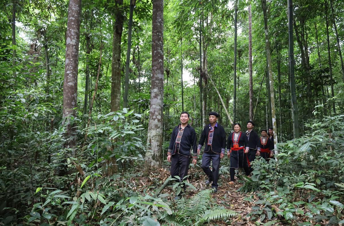 Huyền tích 'rừng giếng ngọc'