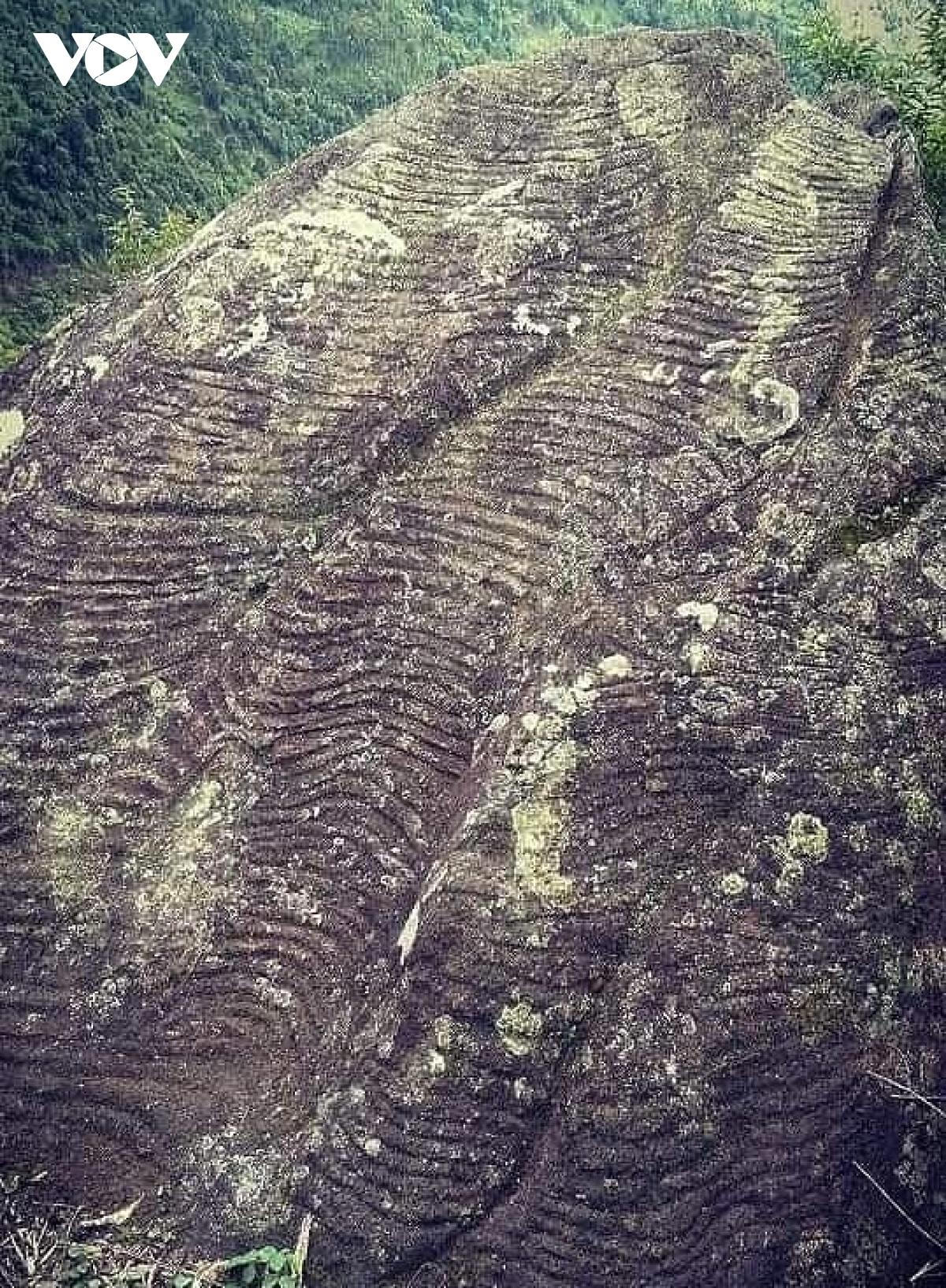 Giải mã bí ẩn về ruộng bậc thang trên đá ở Yên Bái