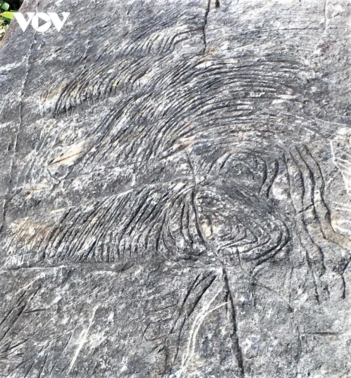 Giải mã bí ẩn về ruộng bậc thang trên đá ở Yên Bái