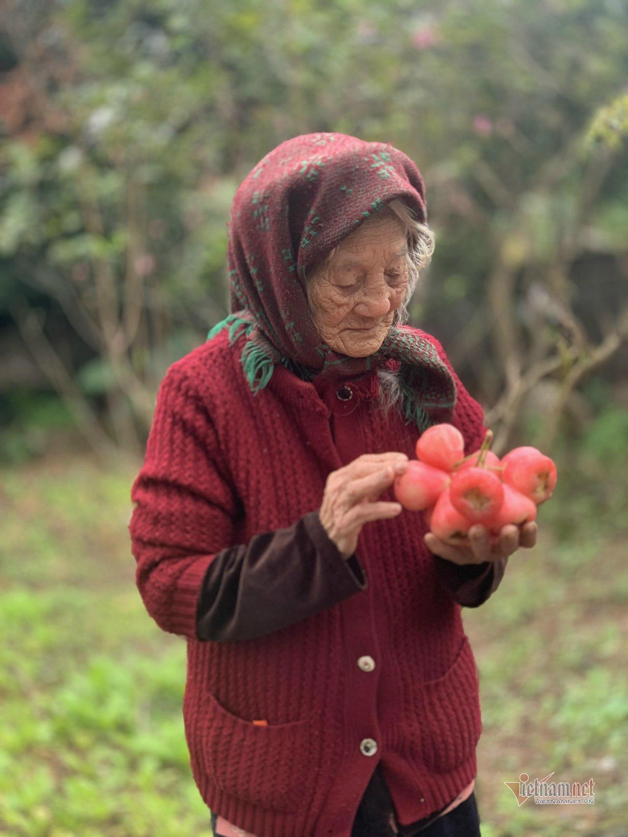 Cụ bà hạnh phúc nhất Việt Nam: 108 tuổi, có 114 cháu, chắt