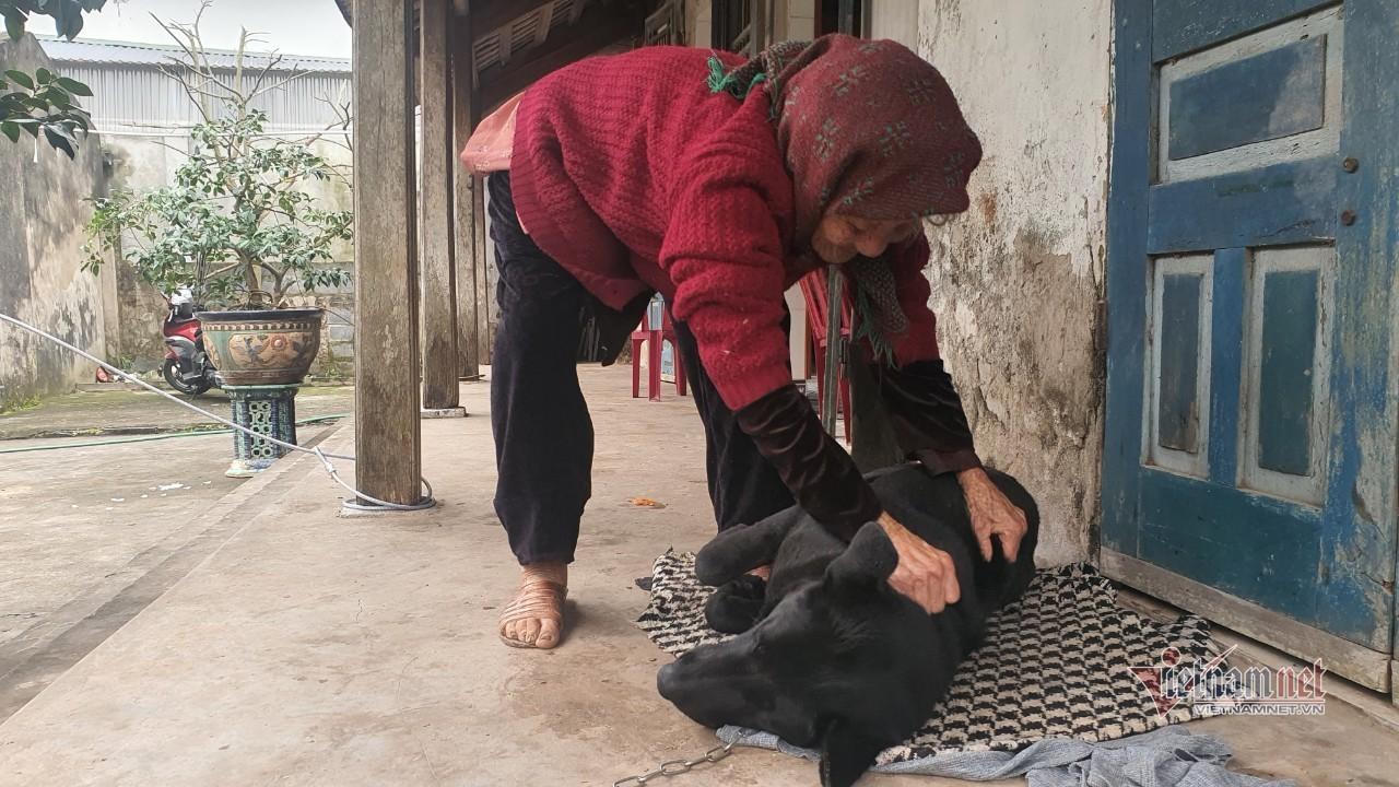 Cụ bà hạnh phúc nhất Việt Nam: 108 tuổi, có 114 cháu, chắt