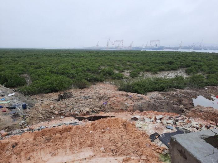 'Thót tim' khi check in trên cầu Tình Yêu ở Quảng Ninh