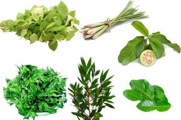 Xông hơi - một biện pháp phòng COVID-19 đơn giản, an toàn, hiệu quả - Ảnh 5.