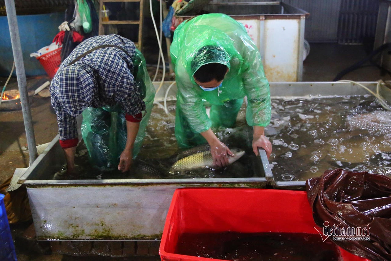 Người lao động tay trần bắt cá, khiêng đá trong đêm Hà Nội rét buốt