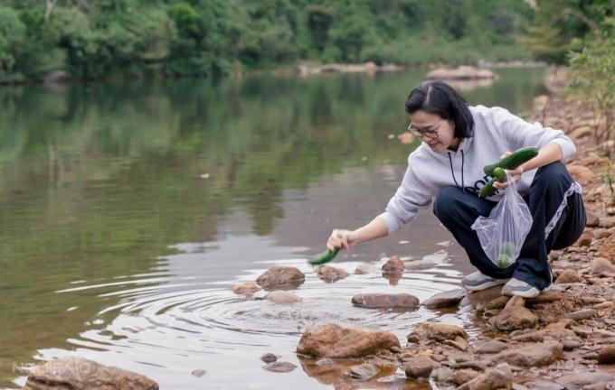 Điểm cắm trại 'cực chill' ít người biết ở ngoại ô Đà Nẵng