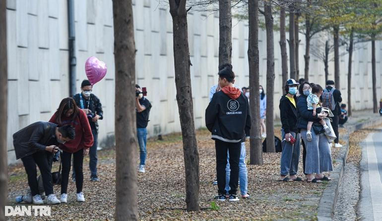 Mải chụp ảnh ở con đường lá vàng Hà Nội, du khách bị bẻ khóa, trộm xe