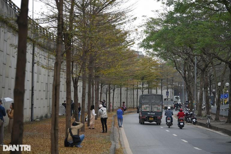 Mải chụp ảnh ở con đường lá vàng Hà Nội, du khách bị bẻ khóa, trộm xe