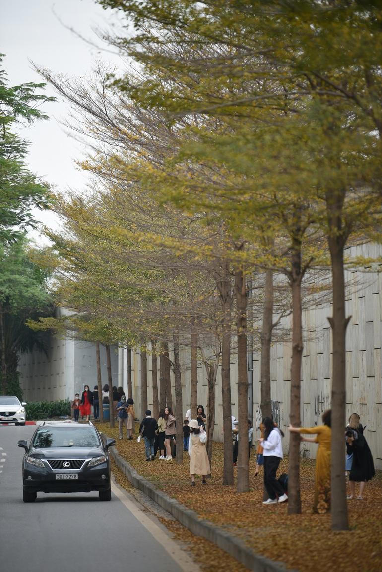 Mải chụp ảnh ở con đường lá vàng Hà Nội, du khách bị bẻ khóa, trộm xe