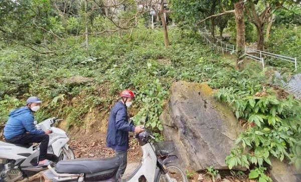 Bạch xà khổng lồ, toàn thân trắng muốt bất ngờ xuất hiện ở đền Mẫu, Ninh Bình 