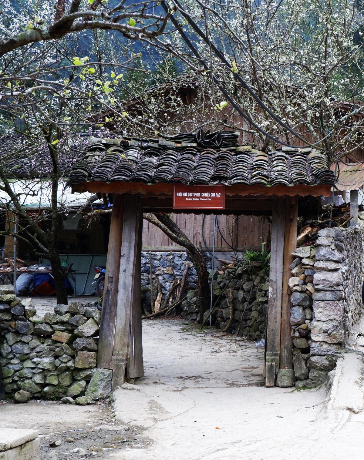 'Nhà của Pao' trong sắc vàng hoa cải