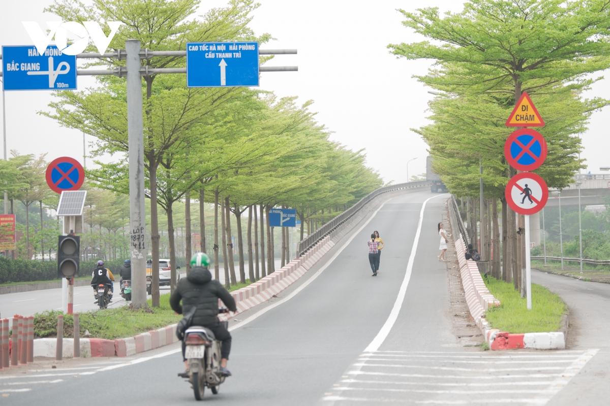 Đùa giỡn tử thần, đứng giữa đường để chụp ảnh cùng hàng cây bàng Đài Loan