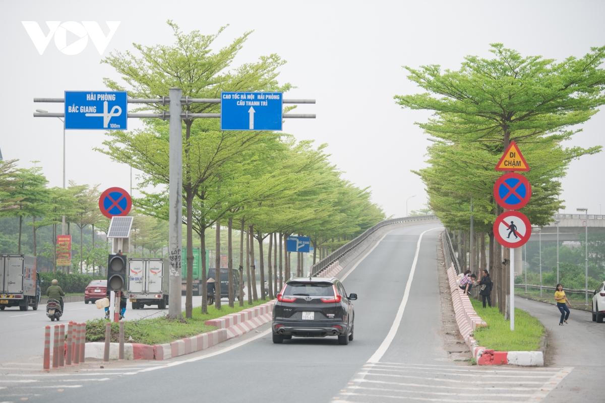 Đùa giỡn tử thần, đứng giữa đường để chụp ảnh cùng hàng cây bàng Đài Loan