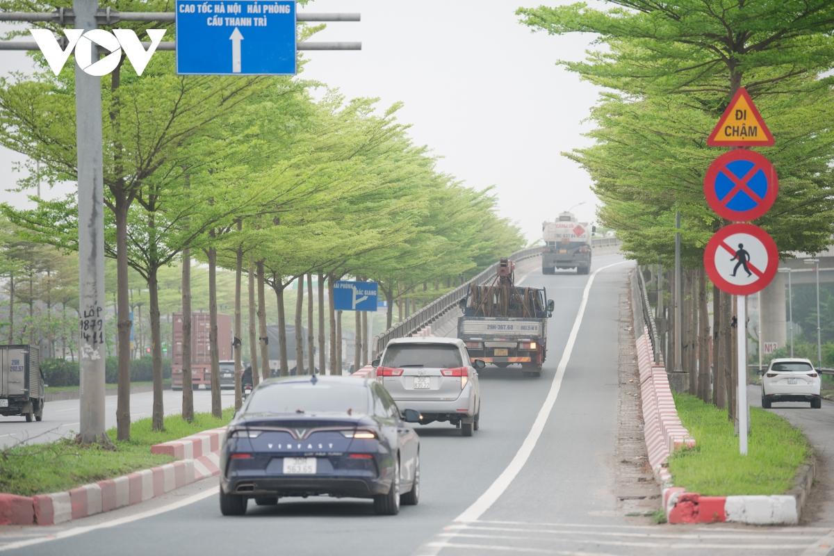 Đùa giỡn tử thần, đứng giữa đường để chụp ảnh cùng hàng cây bàng Đài Loan