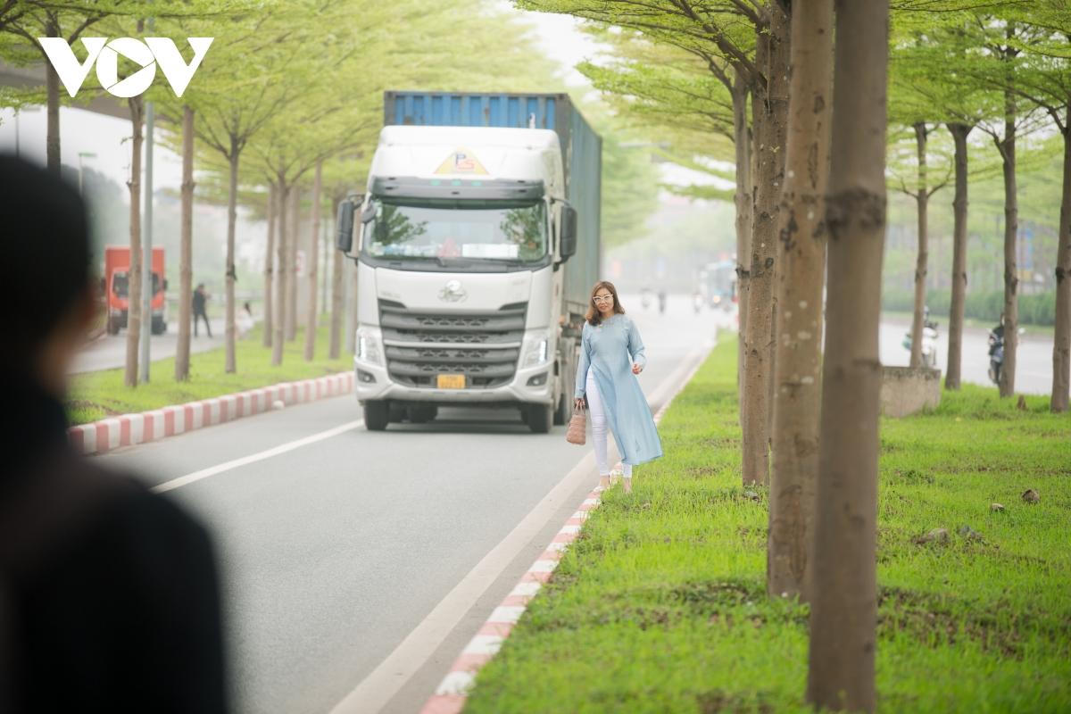 Đùa giỡn tử thần, đứng giữa đường để chụp ảnh cùng hàng cây bàng Đài Loan