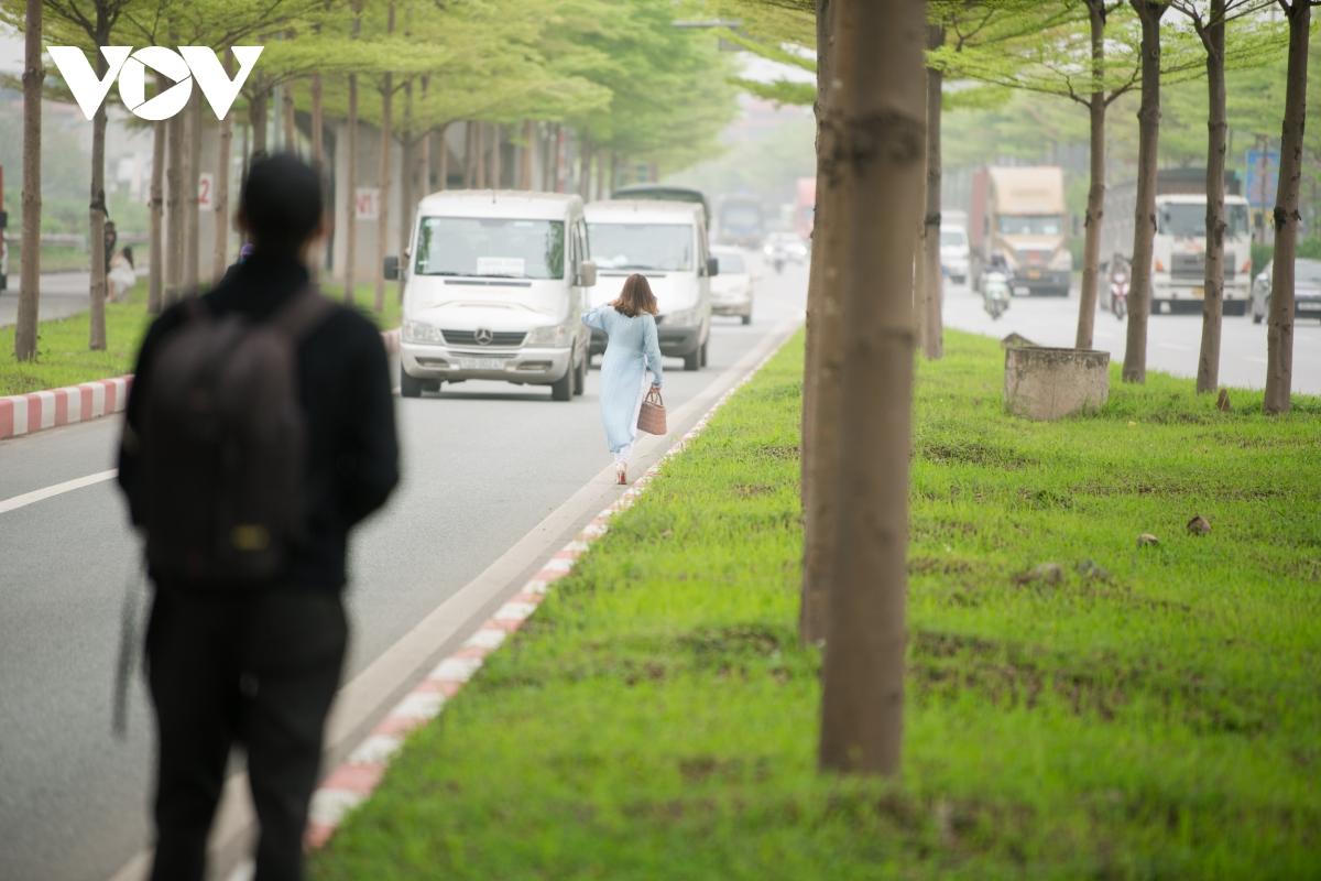 Đùa giỡn tử thần, đứng giữa đường để chụp ảnh cùng hàng cây bàng Đài Loan