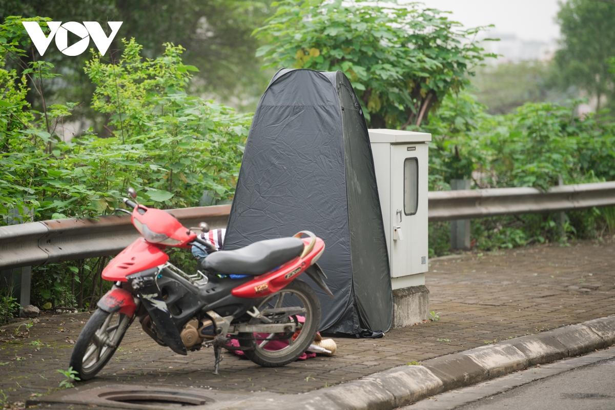 Đùa giỡn tử thần, đứng giữa đường để chụp ảnh cùng hàng cây bàng Đài Loan