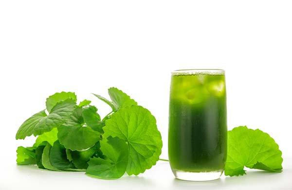 Các loại nước uống giúp người viêm đường tiết niệu nhanh khỏi