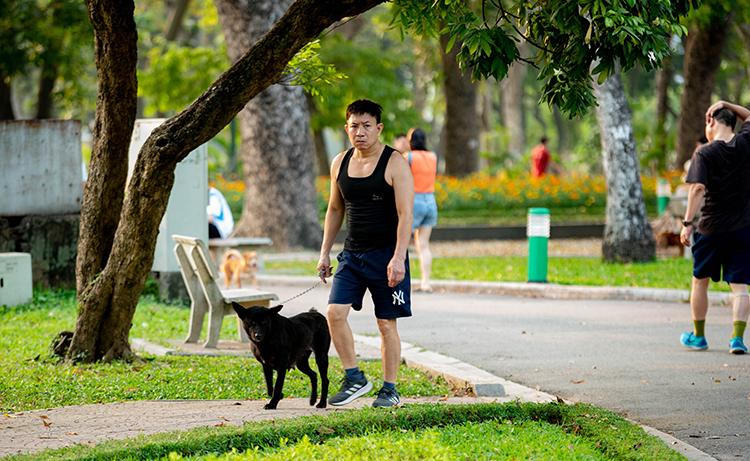 Hãi hùng chó to thả rông không rọ mõm gây nguy hiểm nơi công cộng ở Hà Nội