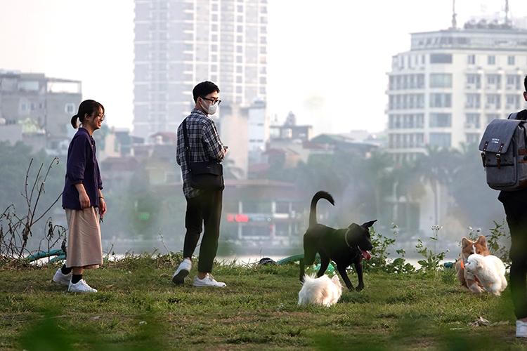 Hãi hùng chó to thả rông không rọ mõm gây nguy hiểm nơi công cộng ở Hà Nội