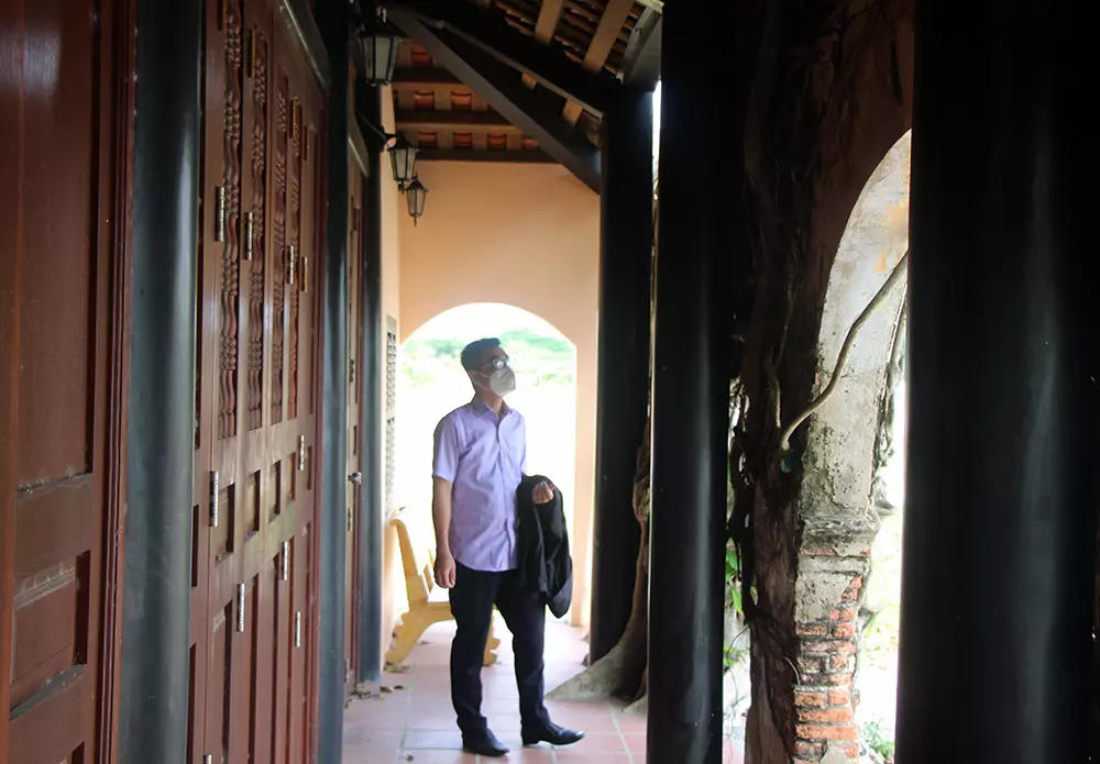 Chuyện kỳ lạ về cây cổ thụ khổng lồ ở miền Tây