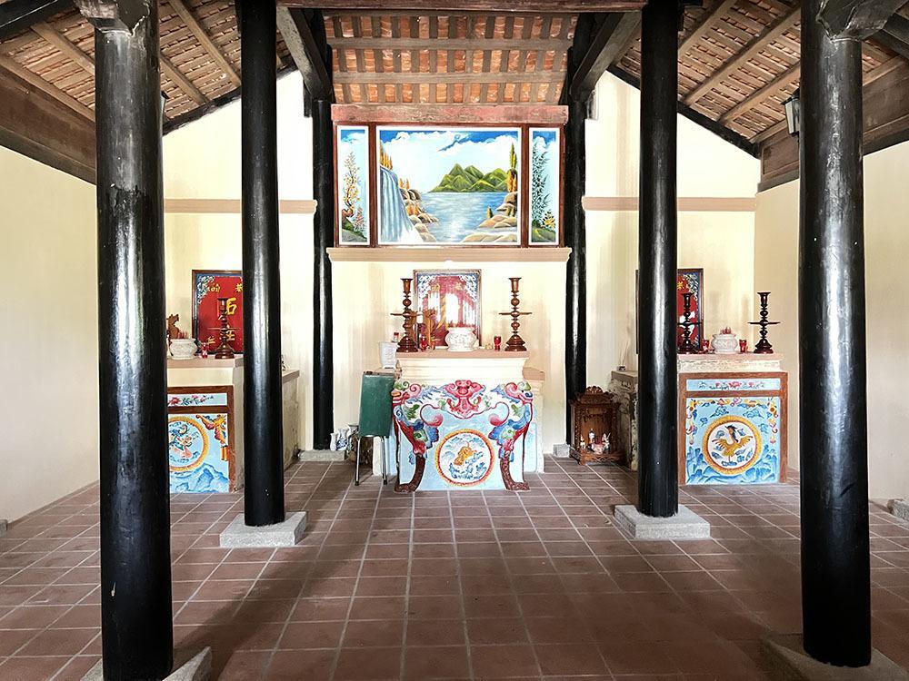 Chuyện kỳ lạ về cây cổ thụ khổng lồ ở miền Tây