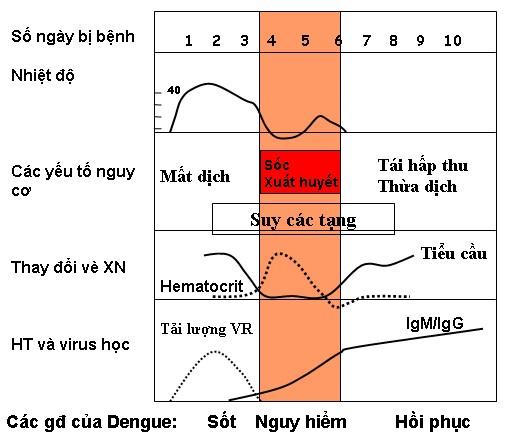Thời gian ủ bệnh sốt xuất huyết và khi nào cần nhập viện? - Ảnh 1.