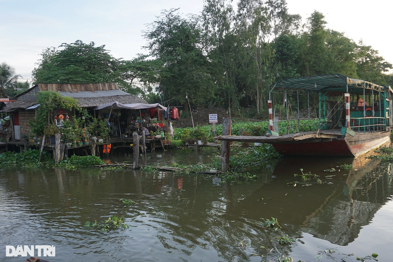 Kỳ lạ đàn cá sông 'nương tựa cô lái đò' thích được nựng như thú cưng
