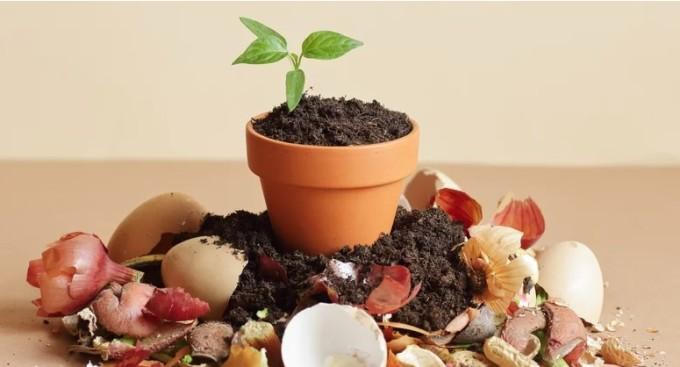 5 loại rác nên giữ lại