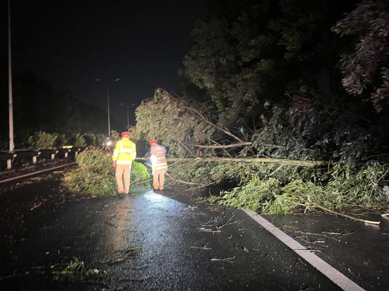 Cảnh sát 'đội mưa' dọn nhiều cây xanh gãy đổ trong đêm trên cao tốc Hà Nội đi Ninh Bình 