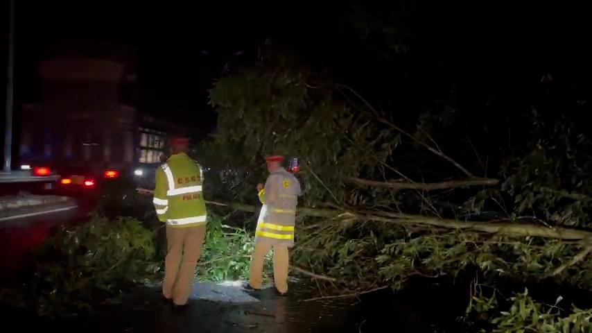 Cảnh sát 'đội mưa' dọn nhiều cây xanh gãy đổ trong đêm trên cao tốc Hà Nội đi Ninh Bình 