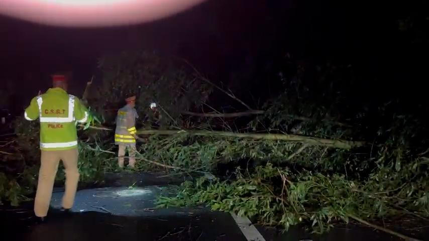 Cảnh sát 'đội mưa' dọn nhiều cây xanh gãy đổ trong đêm trên cao tốc Hà Nội đi Ninh Bình 