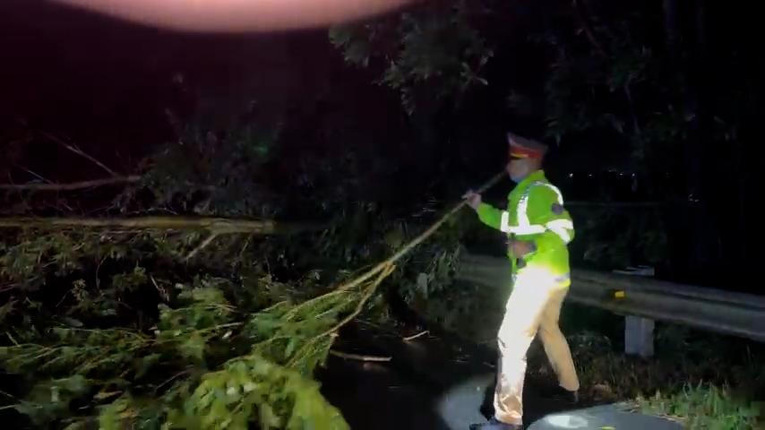 Cảnh sát 'đội mưa' dọn nhiều cây xanh gãy đổ trong đêm trên cao tốc Hà Nội đi Ninh Bình 