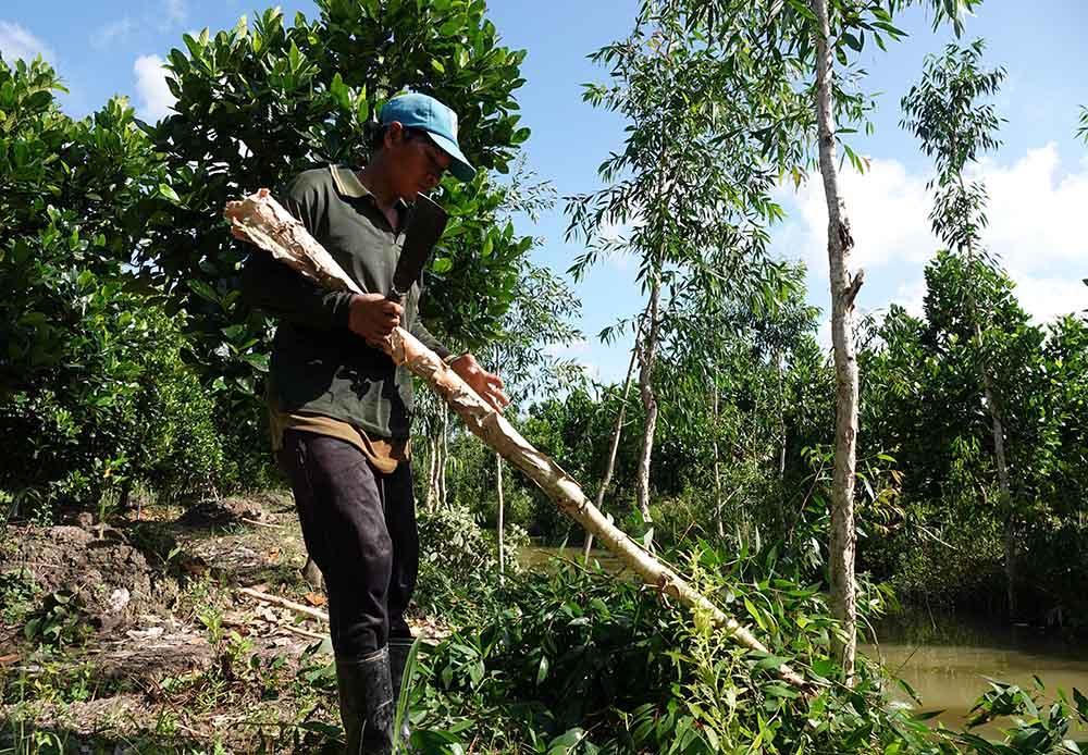 Người đàn ông 'chết đi sống lại' ở Đồng Tháp và điều kỳ diệu sau 4 năm