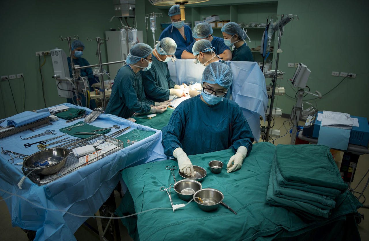 Những 'bông hồng thép' ngành Y